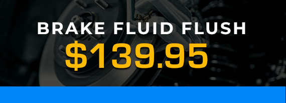 Brake Fluid Flush Special
